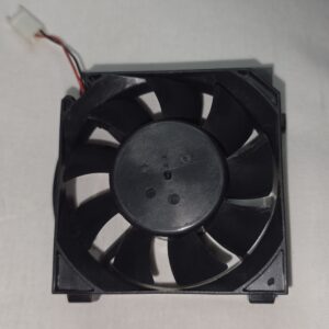Xbox Fan